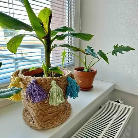 Bright And With A Balcony Апартаменты