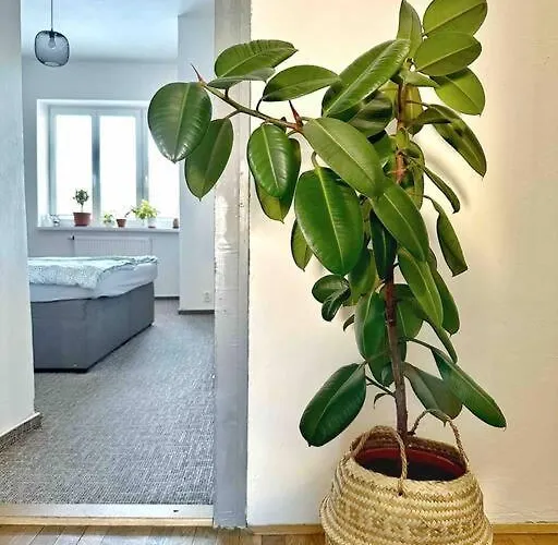 Apartmán Bright And With A Balcony *