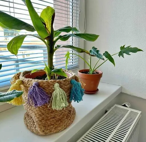 Bright And With A Balcony Apartmán