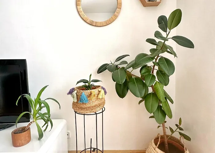 Bright And With A Balcony *
